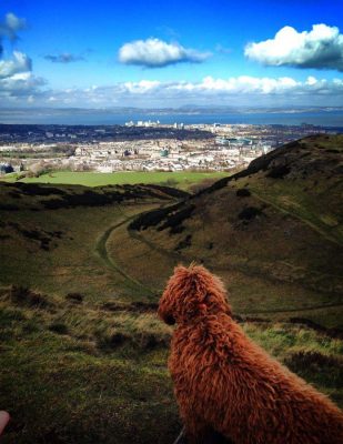 Blick von von Edinburgh nach Kirkcaldy