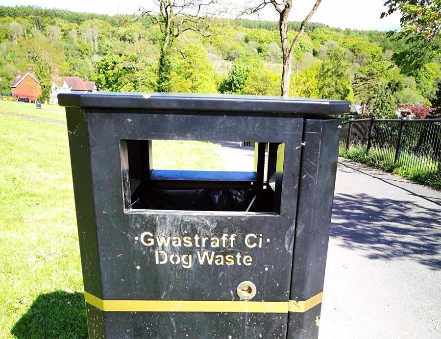 Dog Waste