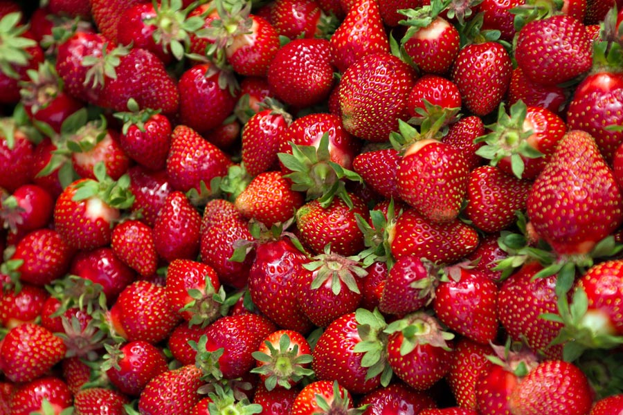 Erdbeeren, Markt in Oulu