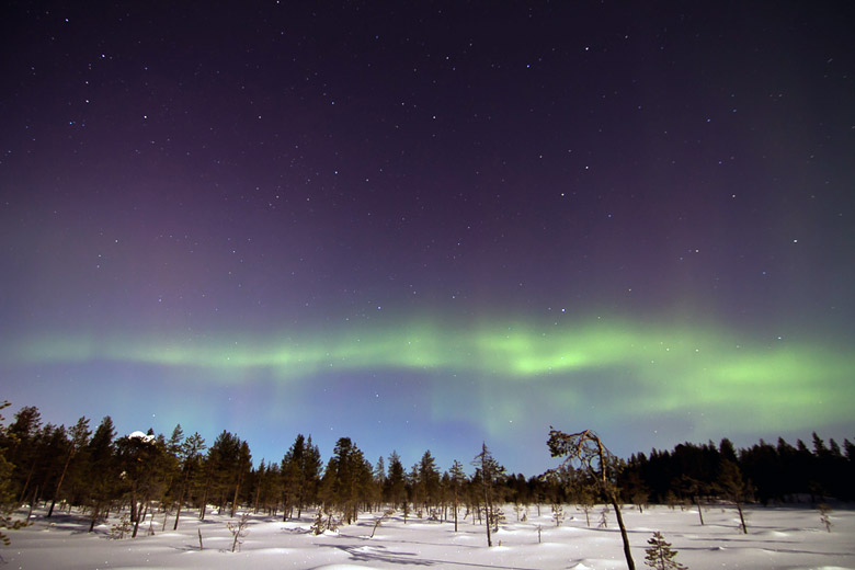 Nordlichter, die Aurora borealis
