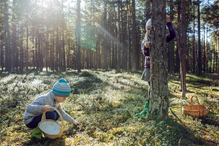 Kinder im Wald