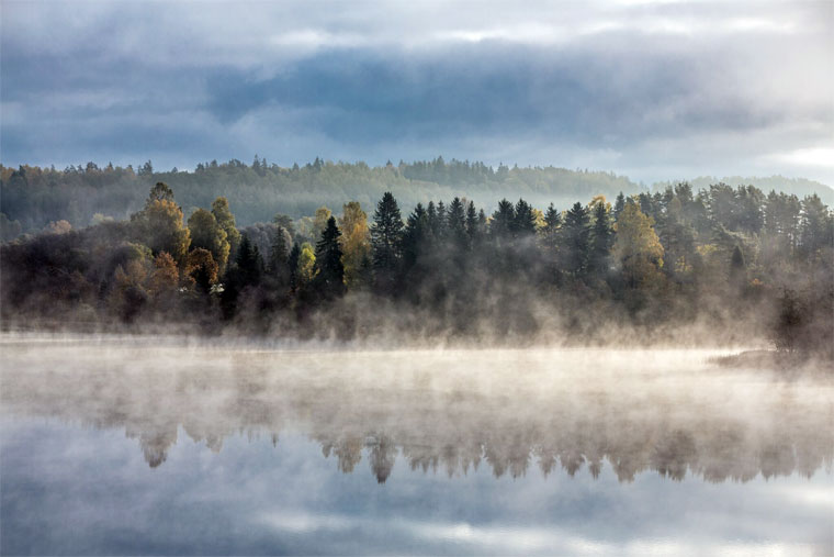 Nebel über See und Wald