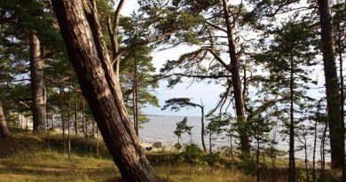 Anreißer Ärjänsaari