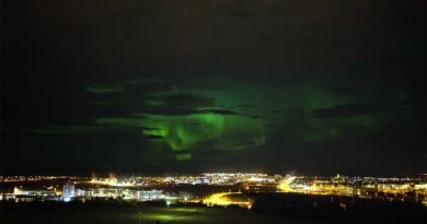 Nordlichter Reykjavik