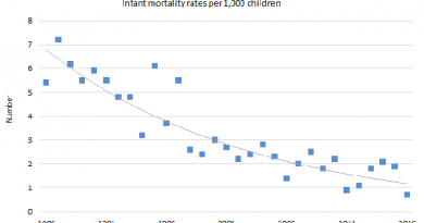 Kindersterblickeit Island Statistik