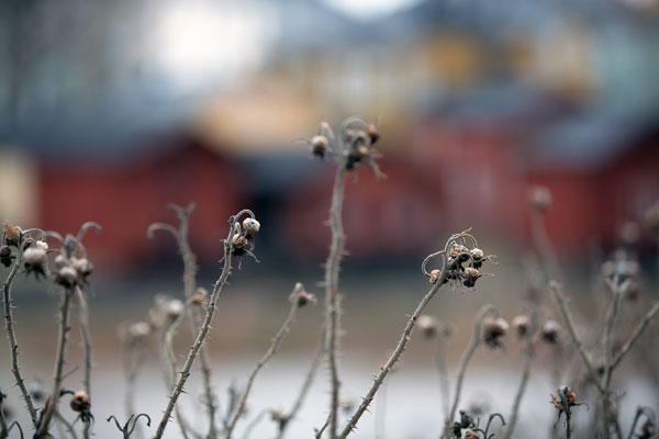 Porvoo Reisebericht