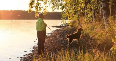 Finnland Reisen mit Hund Checkliste