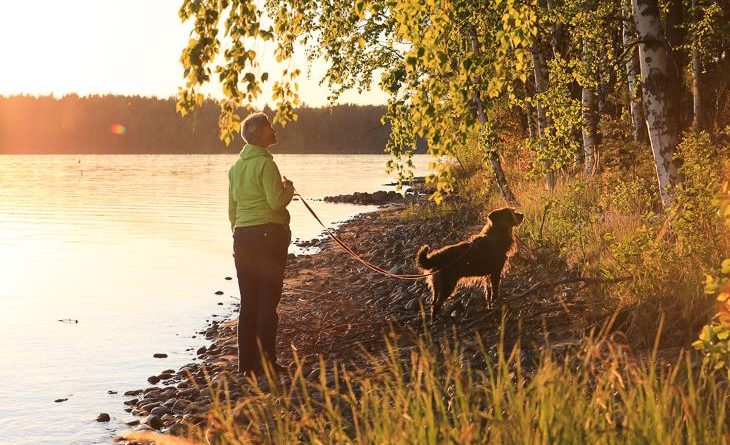 Finnland Reisen mit Hund Checkliste