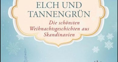 Weihnachtsgeschichten Buchbesprechung