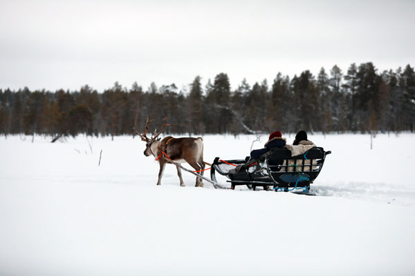 Lappland Reisen