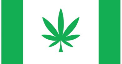 Hanfblatt Flagge Cannabis Kanepi