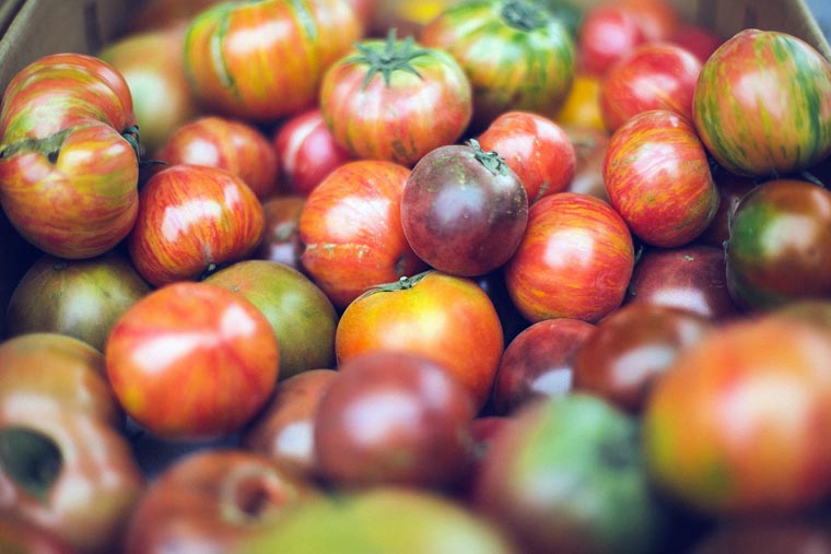 Unebene Tomaten Lebensmittelverschwendung
