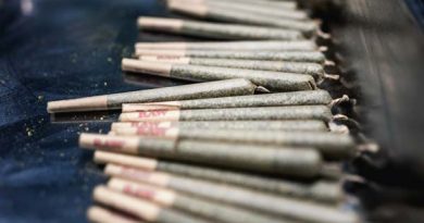 Legalisierung Cannabis Dänemark