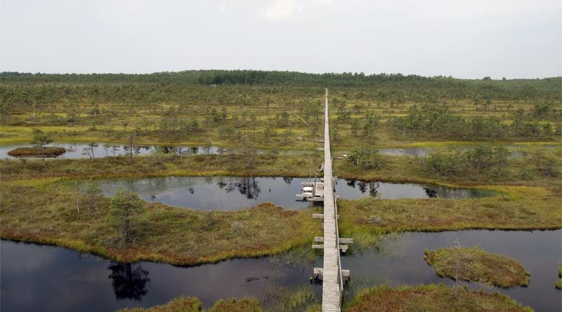 Endla Naturschutzgebiet