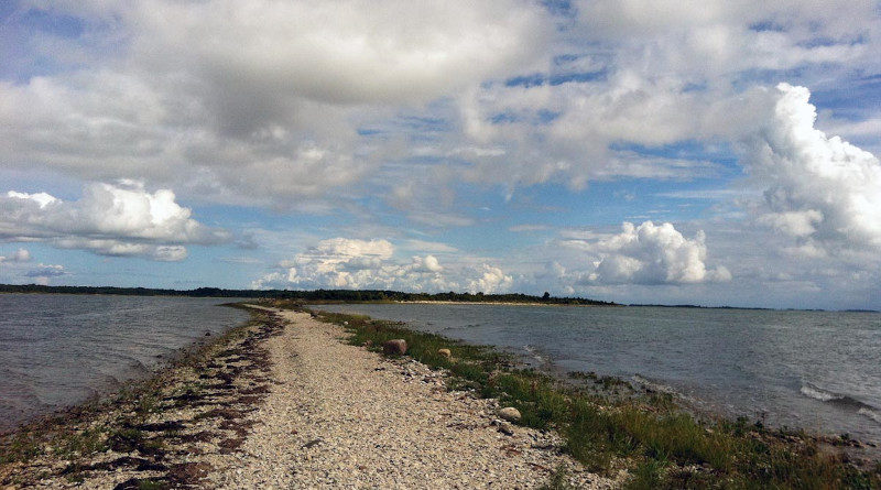 Sääretirp Hiiumaa