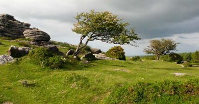 Dartmoor Nationalpark Wandern