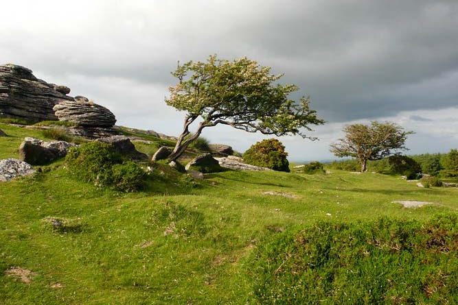 Dartmoor Nationalpark Wandern