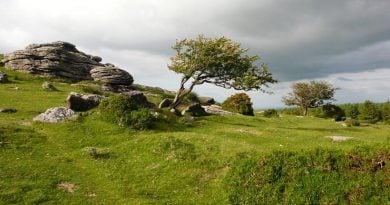 Dartmoor Nationalpark England