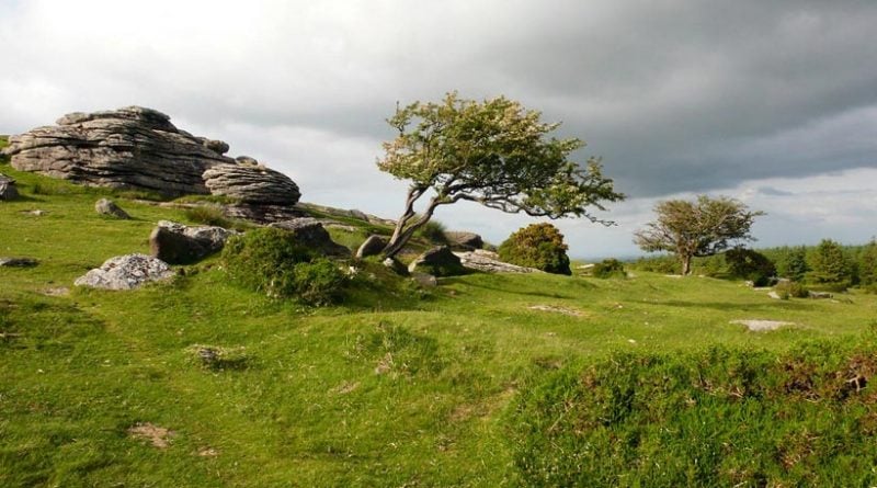 Dartmoor Nationalpark England