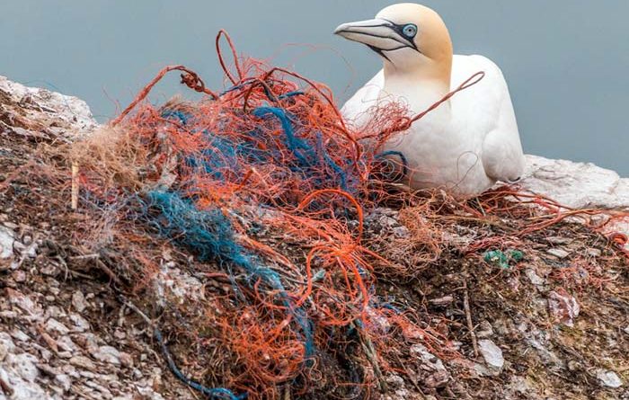 Plastikmüll Färöer Inseln