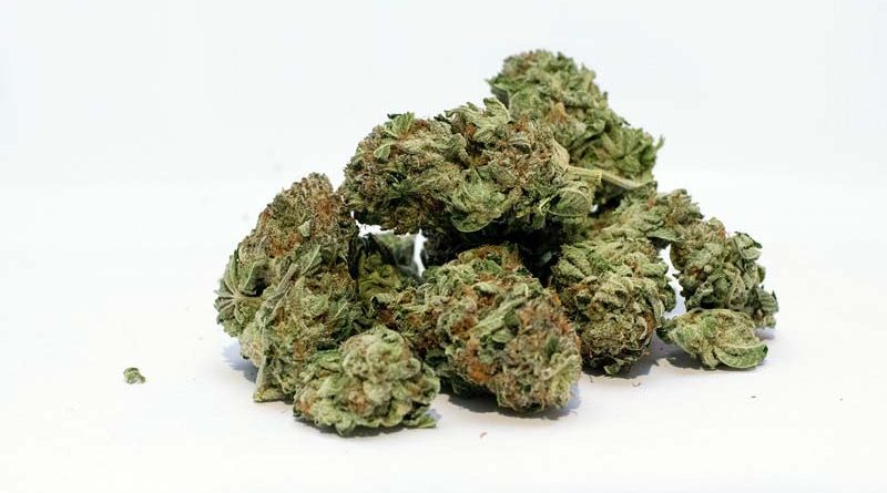 Cannabis Preisindex