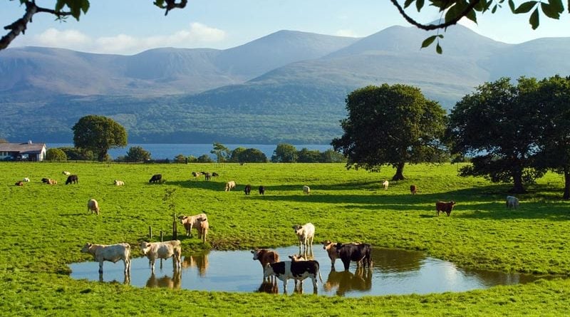 Killarney Kerry