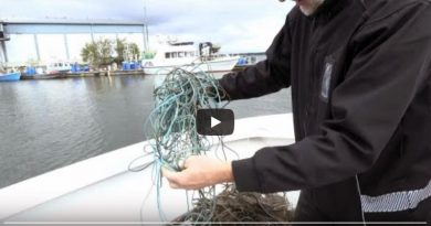 Finnland Fischereinetz Ostsee