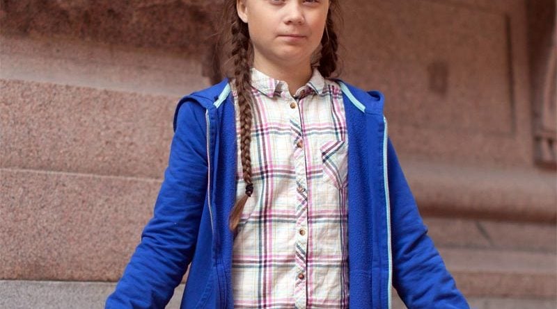 Greta Thunberg Käfer