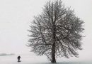 Rekord in Litauen: In Hauptstadt Vilnius gab es im Januar nur 5 Stunden Sonne