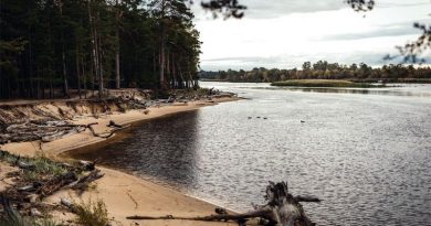 Gauja Flusslandschaft