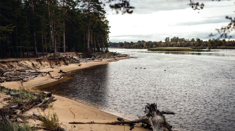 Gauja Flusslandschaft