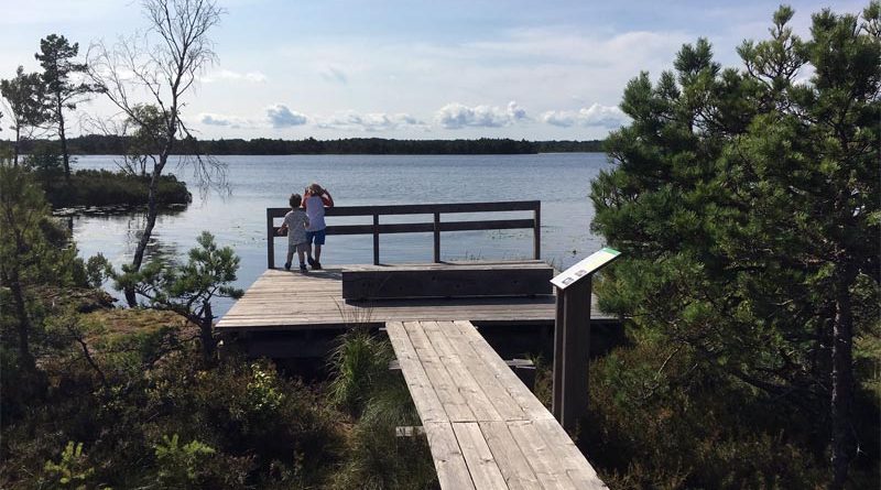 Wandern Moor Koigi Saaremaa