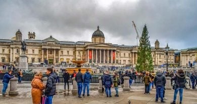 Trafalgar London Weihnachtsbaum