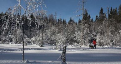 Schneemenge Norwegen 2050