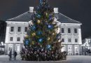 Zum Selberschlagen: In Estland gibt es Weihnachtsbäume im Wald via App