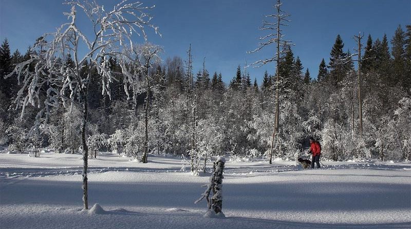 Skiurlaub Norwegen