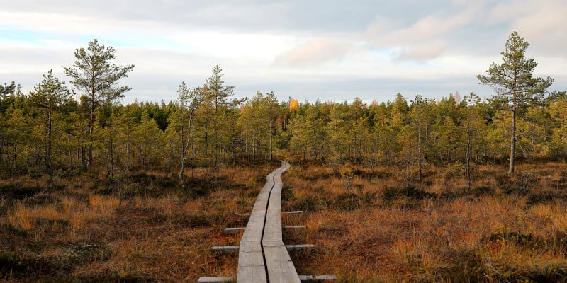 lahemaa nationalpark