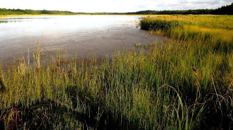 hiiumaa wasserreichtum