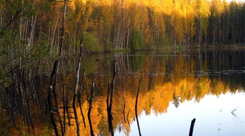 Kuradijärv Kurtna