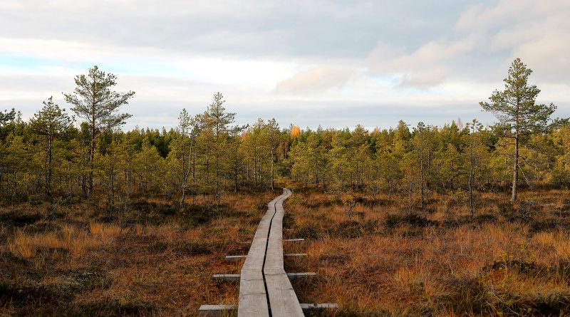 nationalpark lahemaa