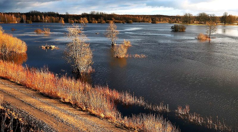 see soomaa nationalpark