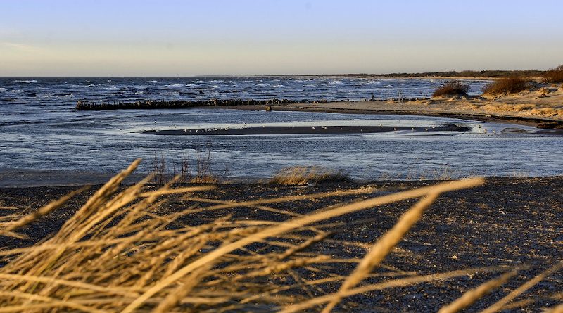 palanga ostsee