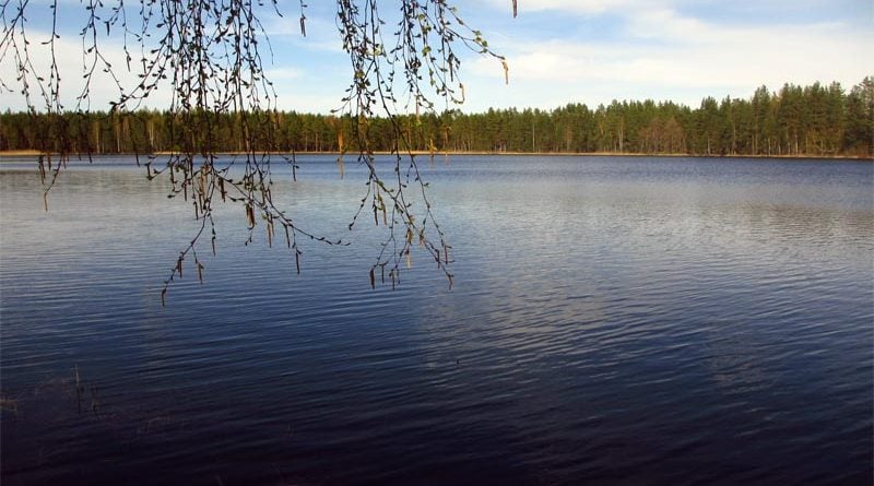 Valgejärv Kurtna