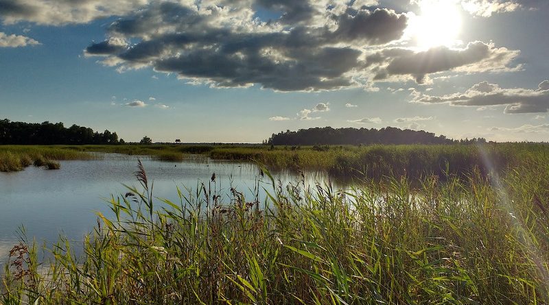 natur lettland