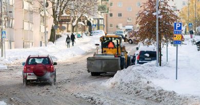 Verkehrstote Schweden