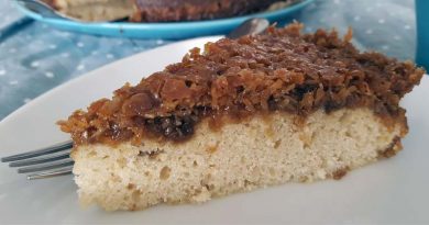 Kuchenrezept Droemmekage vegan laktosefrei ohne Ei