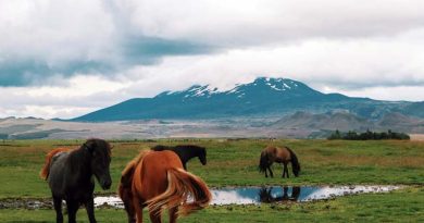 Hekla Vulkan Island