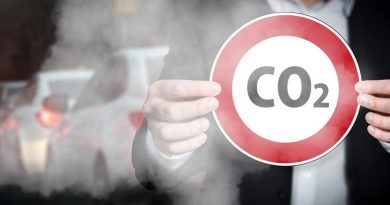 CO2 Ausstoß Reduzierung Estland