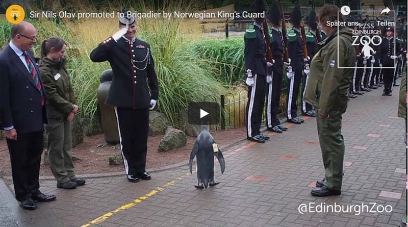 Pinguin General Norwegen