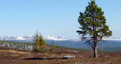Urho Kekkonen Nationalpark Lappland